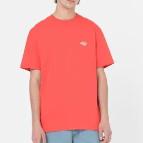 Camiseta Dickies: Summerdale Tee SS (Bittersweet)